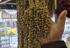 Eskişehir'de aktarların yeni gözdesi oldu: Her derde deva, vatandaşlar gramla alıyor: Kilosu 3.500 TL!