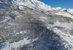 Şırnak'ta kar yağdıktan sonra fark edildi: Herkes oraya koştu