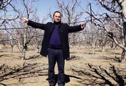 Kayseri'de yetiştiriliyor, yoğun talep görüyor! Rusya, Dubai, Katar ve Yunanistan sıraya girdi