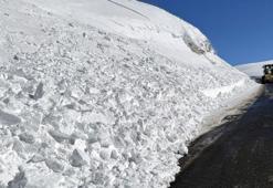 Şavşat-Ardahan kara yolu çığ nedeniyle ulaşıma kapatıldı