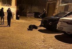 Cizre’de silahlı saldırıda hayatını kaybetti
