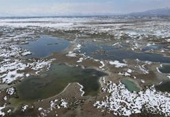 Erzincan'da görsel şölen: Ekşisu Kuş Cenneti büyülüyor