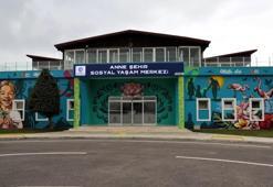 Kocaeli büyükşehir’den kadın ve aile odaklı örnek proje