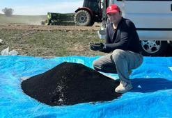 Yeni kazanç kapısı! Tarımda dönüşüm: Havucun yanına "siyah inci" geliyor