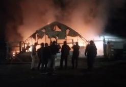 Bursa'da çiftlikte yangın! Yüzlerce hayvan telef oldu