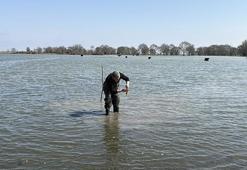 Samsun'da vatandaşın geçim kaynağı oldu! Gün boyu toplayıp ilaç firmalarına gönderiyorlar