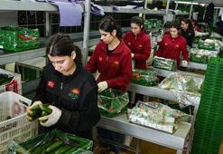 İran'daki savaş Antalya'daki ihracatı artırdı! Rusya'nın yönü değişti