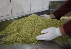 Diyarbakır'da hedef belirlendi: Tam 25 ton üretim yapılacak