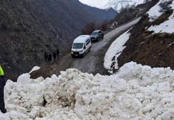 Van'da çığ düştü: Çatak'ta 1 mahalle ve 8 mezraya ulaşımı sağlanamıyor