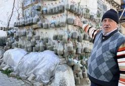 Tokatlı vatandaştan sıra dışı yöntem! Görenler şaşkına dönüyor: Yetiştirdiklerini komşularına ücretsiz dağıtıyor