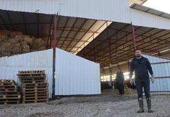 Mühendisliği bırakıp köyünde kendi işini kurdu! 2 ayda katladı, şimdi 100'e çıkaracak