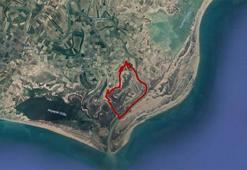 Pamuktan sonra mavi altın: Adana deniz ürünlerinde dünya markası oluyor