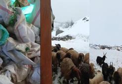 1,5 metrelik kar felç etti! Çiftçiler çaresiz
