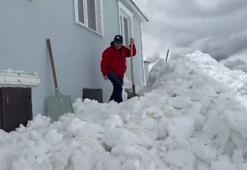 İlginç olay! Ayılar akıllandı, kapıdan değil pencereden girdi