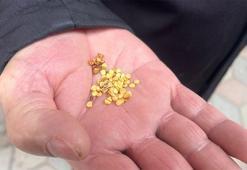 Yozgat'ta ata tohumlarla tarımın hafızasını yaşatıyor