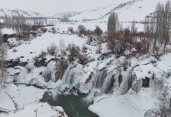 Van'daki yağış bolluğu tarımı ve inci kefali göçünü olumlu etkileyecek
