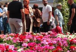 Doğa ve çiçek tutkunları Bayındır'da buluşuyor: Geri sayım başladı