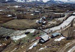 İnci kefalinin kaderi değişti! Bu yıl üreme rekoru bekleniyor: 15 Nisan'da başlıyor, 3 ay sürecek