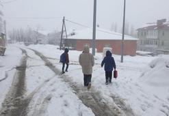 Van'a bahar geldi derken her yer beyaza büründü! Kar kalınlığı 20 cm'yi geçti