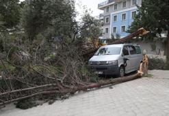 Denizli’de şiddetli rüzgar çatılaı uçurdu, ağaçları ve araçları devirdi, insanlar yürüyemedi