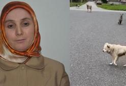 Can korkusuyla aldı, işsizliğe sebep oldu