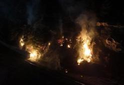 Ormanlık alanda çıkan örtü yangını söndürüldü