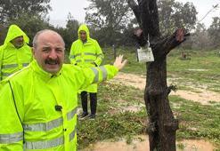 Mustafa Varank, Yeniköy termik santrali maden sahasındaki zeytin ağaçlarının taşınması sürecini yerinde inceledi