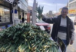Erzincan'da kilosu 200 TL'ye sokakta satılıyor! Sezon açıldı