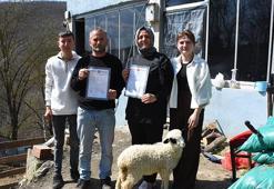 Samsun'da 46 yıldır çözülmeyen arazi davası 28 günde çözüldü! Bu yöntemden sonra küslükler de bitti