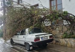 Fırtına Bodrum’da günlük yaşamı olumsuz etkiledi