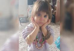 Bitlis Hizan’da kayıp kız çocuğu için arama çalışması başlatıldı