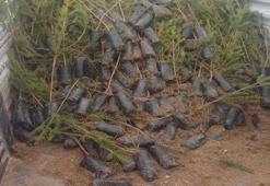 Konya’nın bir ilçesinde ücretsiz dağıtılıyor! Bugün başlıyor