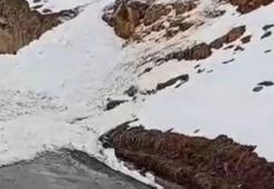 Şırnak Uludere’de çığ düşen kara yolu ulaşıma kapandı