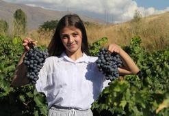 Erzincan'ın iki hazinesi koruma altında! Üreticinin yüzü gülüyor: Artık dünya mirası
