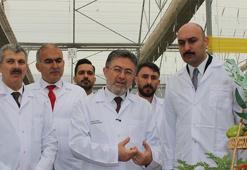 Üreticiye büyük destek! Bugün hesaplara yatırılıyor