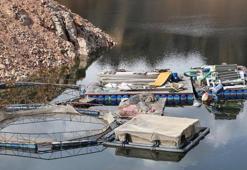 Denize kıyısı olmayan Erzurum'da rekor üretim: Japonlar bu balığın peşinde! Hedef 300 ton