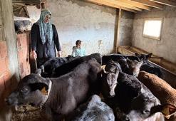 Samsun'da devlet desteği alan genç kadın sürüsünü büyüyttü