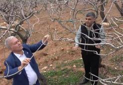 Kar ve yağmur bereketi fiyatları düşürecek! Yeni sezonda bu ürün tezgahlarda bol bol olacak