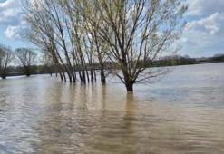 Meriç Nehri taştı, sular yollara ulaştı