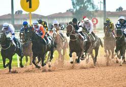 Adana’da kazanan ‘Dapper Man’ oldu