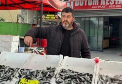 Tezgahlarda istavrit bolluğu! Kilosu 100 liradan satılıyor