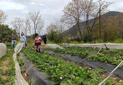 Adana’da alışveriş merkezleri boşaldı: Herkes oraya akın etti