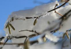 Zirai don uyarısı verilen iller listesi! Hangi İllerde Zirai Don Bekleniyor?