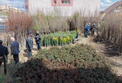 Elmadan kiraza kayısıdan vişneye kadar her çeşit var! Fiyatları 250 liradan başlıyor