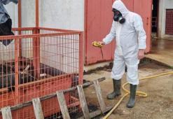 Çiftlikteki gaz sızıntısı panik yarattı! Ekipleri olay yerine harekete geçti