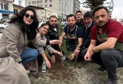 Memleketi Hakkari'ye döndü, her caddeye yaptı! Girişimci kadın yıllarca anlatılacak