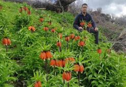 Sadece 20 gün görülebilecek! Koparmanın cezası tam 700 bin TL: Görmek için oraya koştular