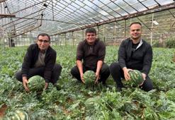 Antalya'da 15 Nisan bekleniyor! Tarlada hasat 90 gün sürecek: Türkiye'nin ihtiyacının kilosu belli oldu