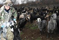 Yıllardır kayıp veriyordu, çözümü 1 torba kireçte buldu: Hayat kurtaran yöntemi açıkladı