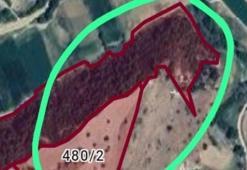 Defineciler bastığı alan hakkında karar çıktı! Denizli'de ilan edildi